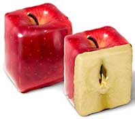 vierkante appel