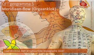 QFT Frequentie-therapie programma Meridiaanklok