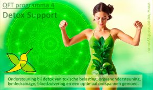 QFT Frequentie-therapie Detox Support