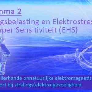 Programma 2: Detox Stralingsbelasting en Elektrostress bij (EHS) Elektro Hyper Sensitiviteit (kwartaal)