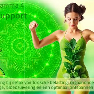 Programma 4: Detox Support (kwartaal)